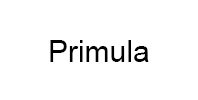 Ремонт кофемашины модели Primula в Раменском Ремонт кофемашин Primula